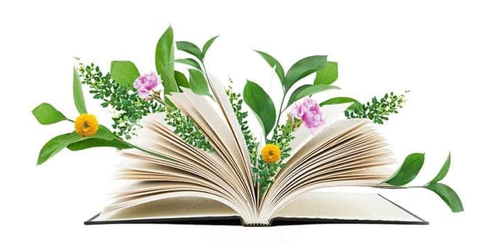 livro aberto com flores entre páginas